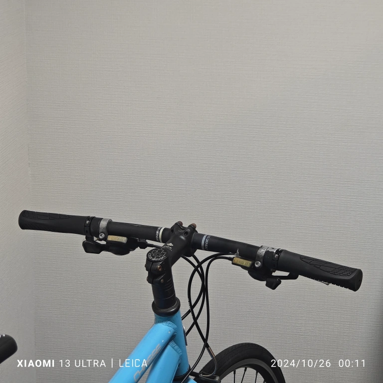 整備済!LOUIS GARNEAU ルイガノ LGS-CHASSEの写真9枚目