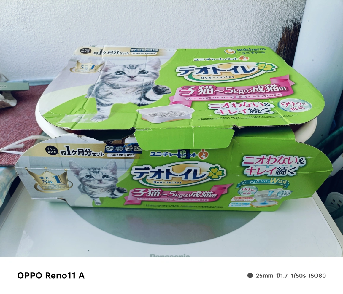 猫用の写真2枚目