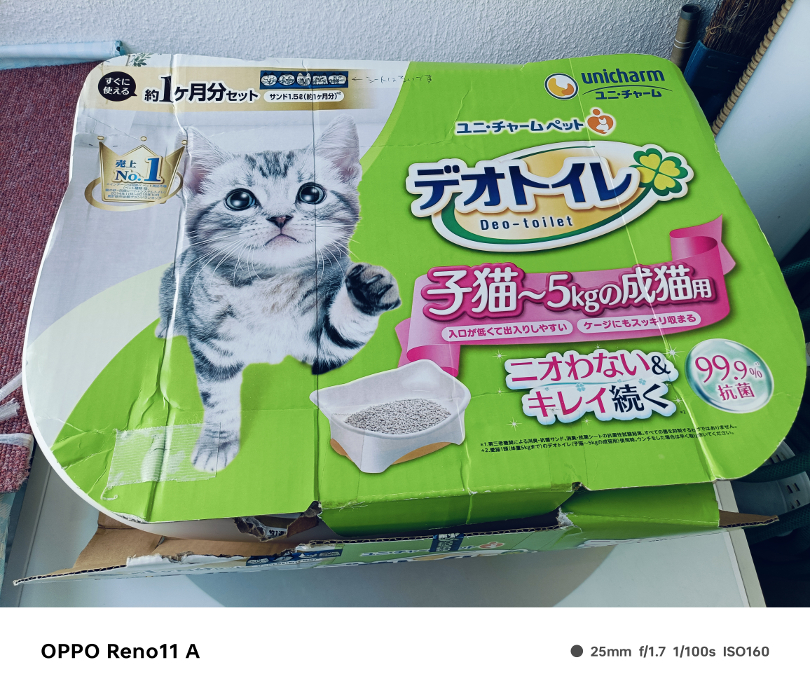 猫用の写真3枚目