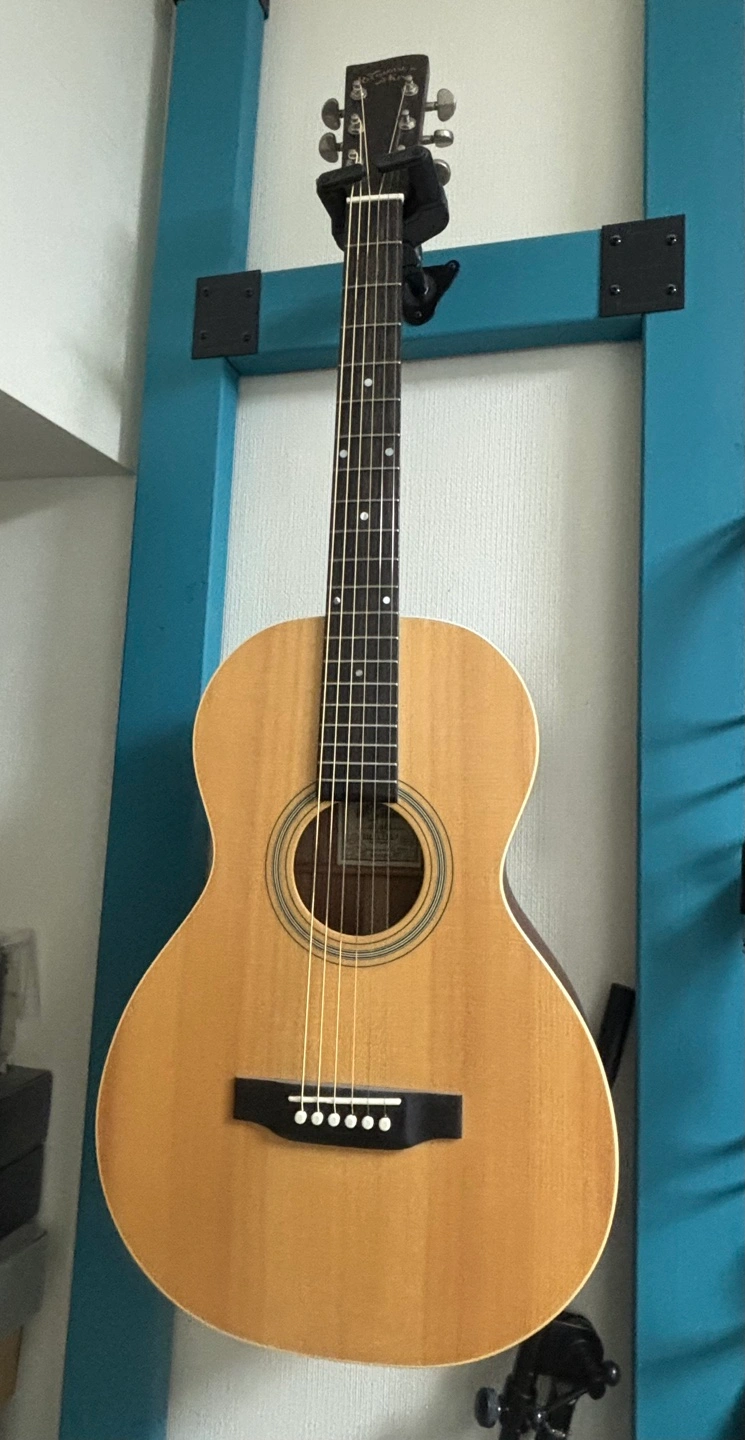 Recording King アコースティックギター
