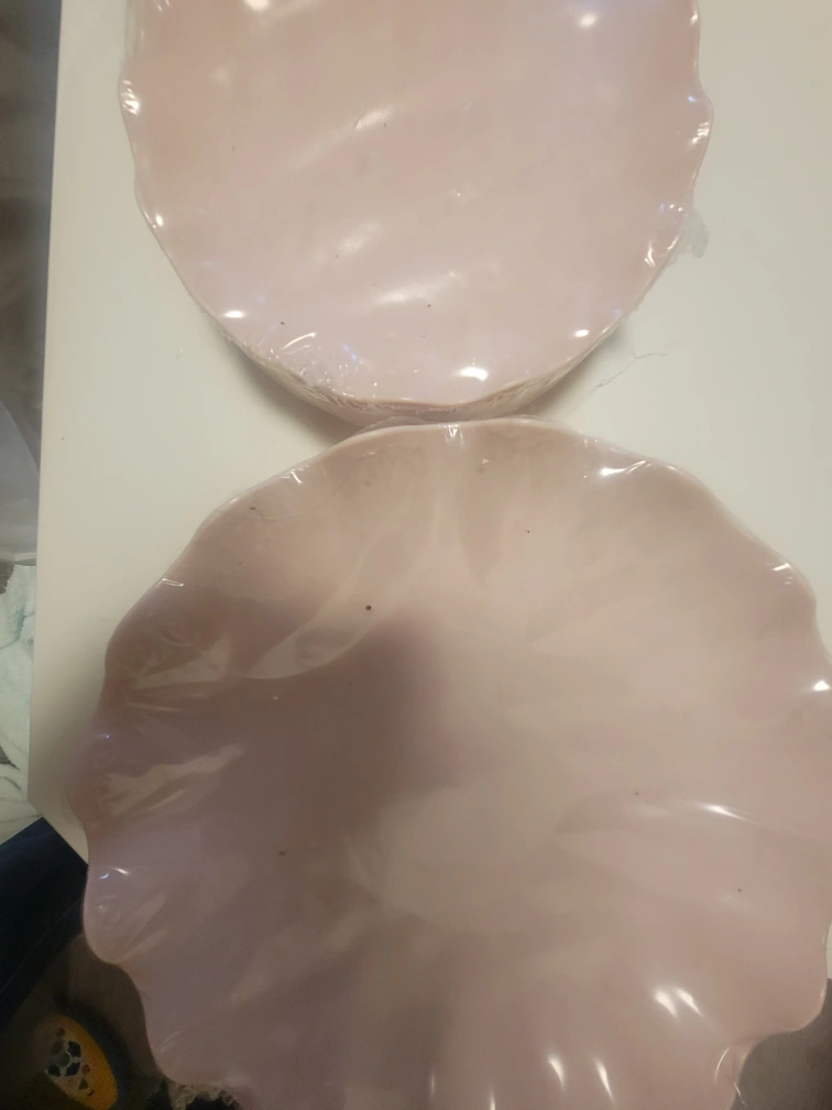 【断捨離中】新品食器まとめ売り大小セット