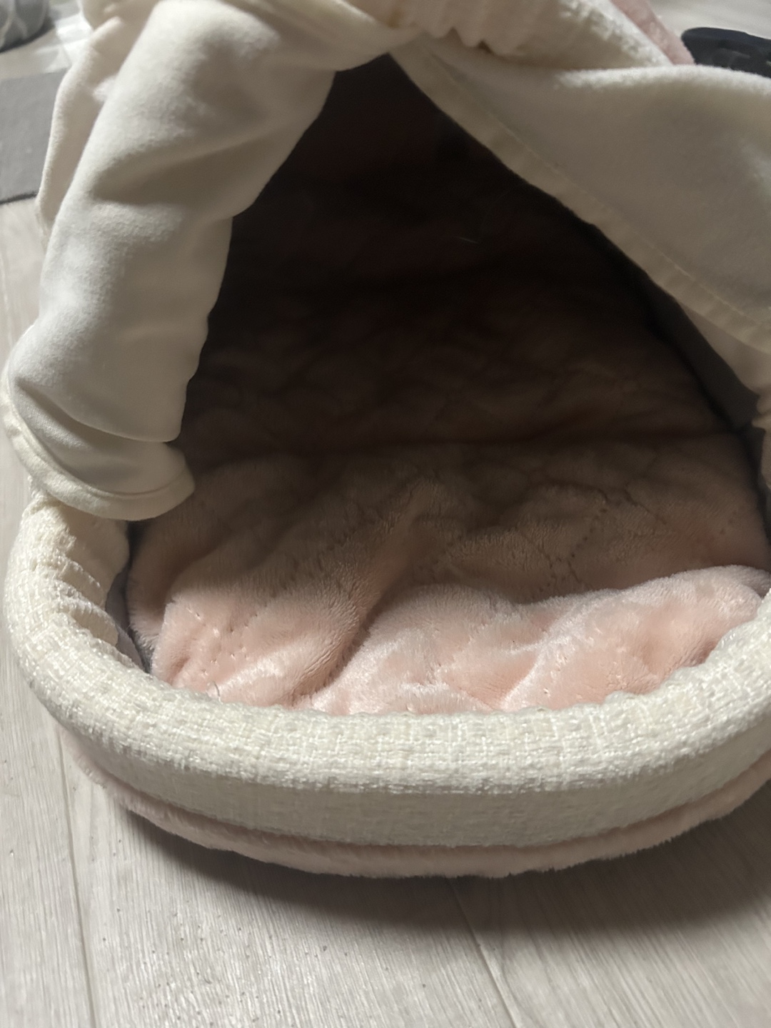 キャットハウスの写真3枚目