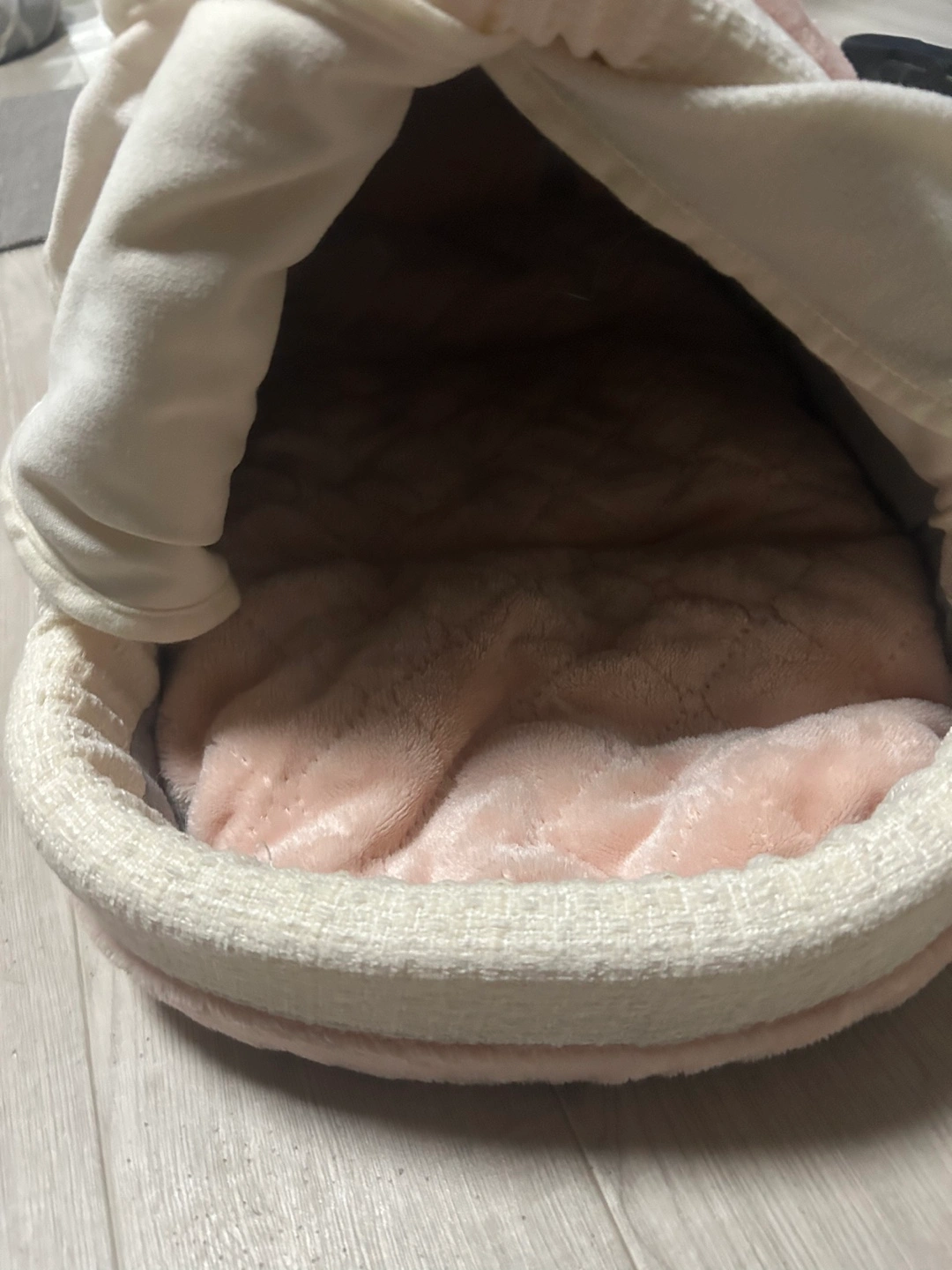 キャットハウスの写真3枚目
