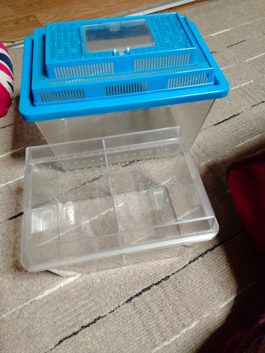 アクリル飼育ケース と小型水槽