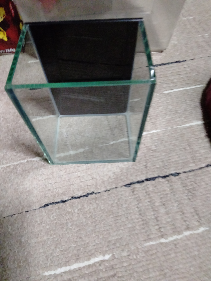 アクリル飼育ケース と小型水槽の写真5枚目
