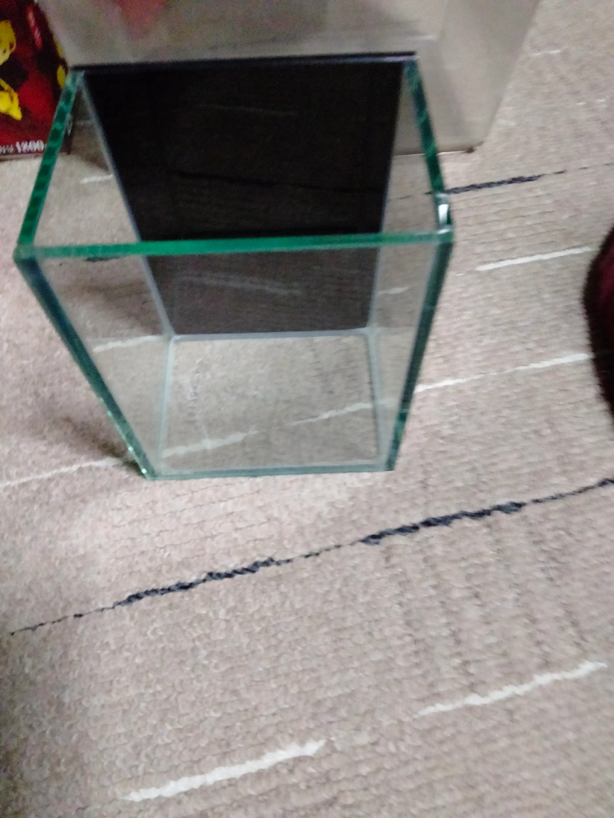 アクリル飼育ケース と小型水槽の写真5枚目