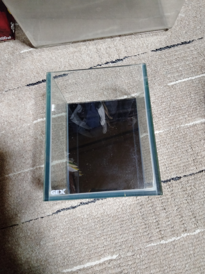 アクリル飼育ケース と小型水槽の写真4枚目