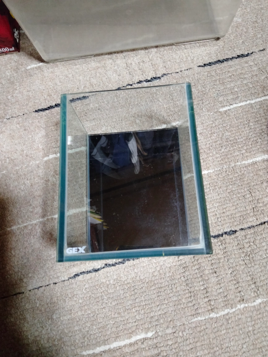 アクリル飼育ケース と小型水槽の写真4枚目