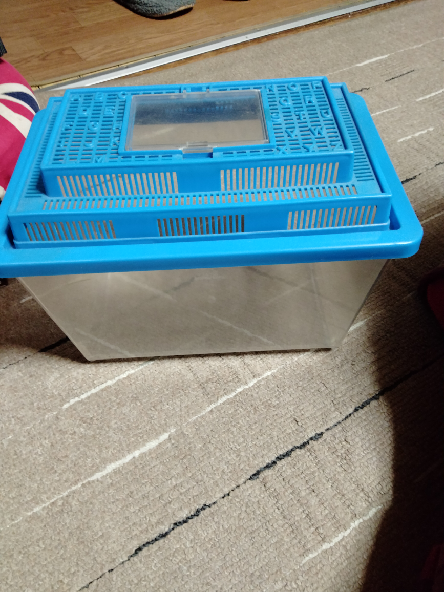 アクリル飼育ケース と小型水槽の写真3枚目