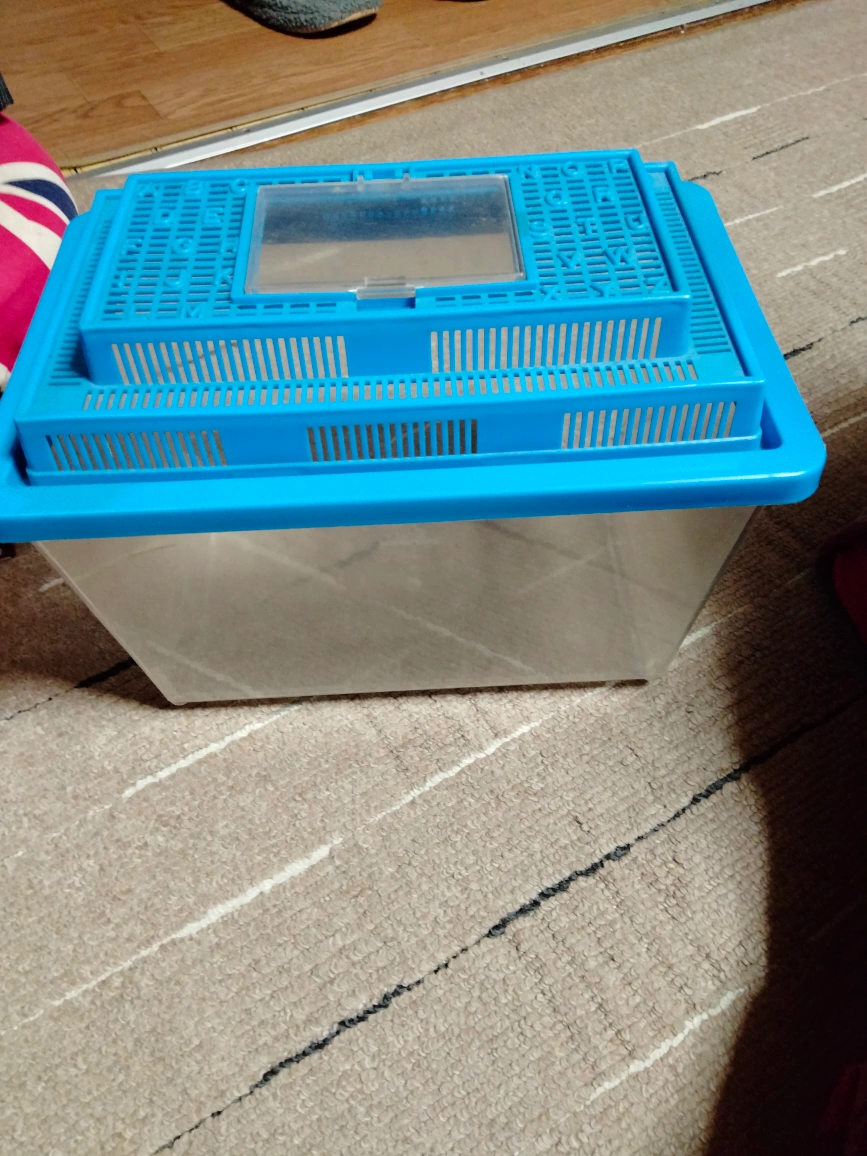 アクリル飼育ケース と小型水槽の写真3枚目