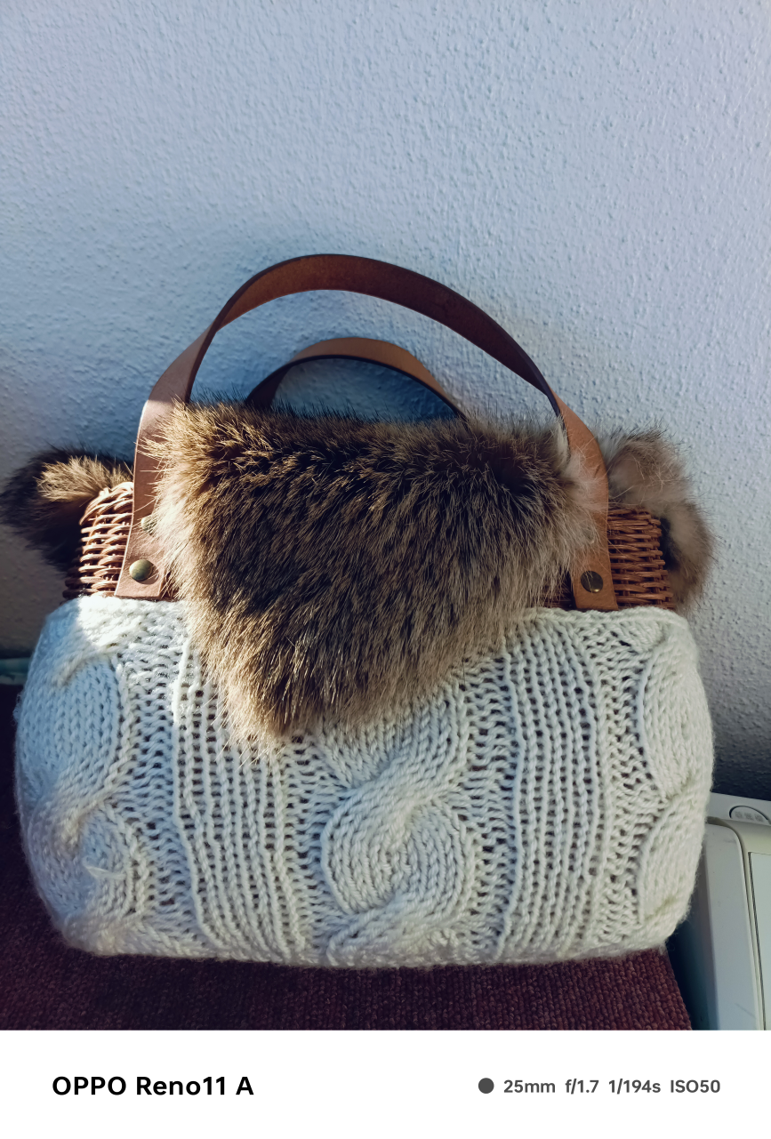 バック