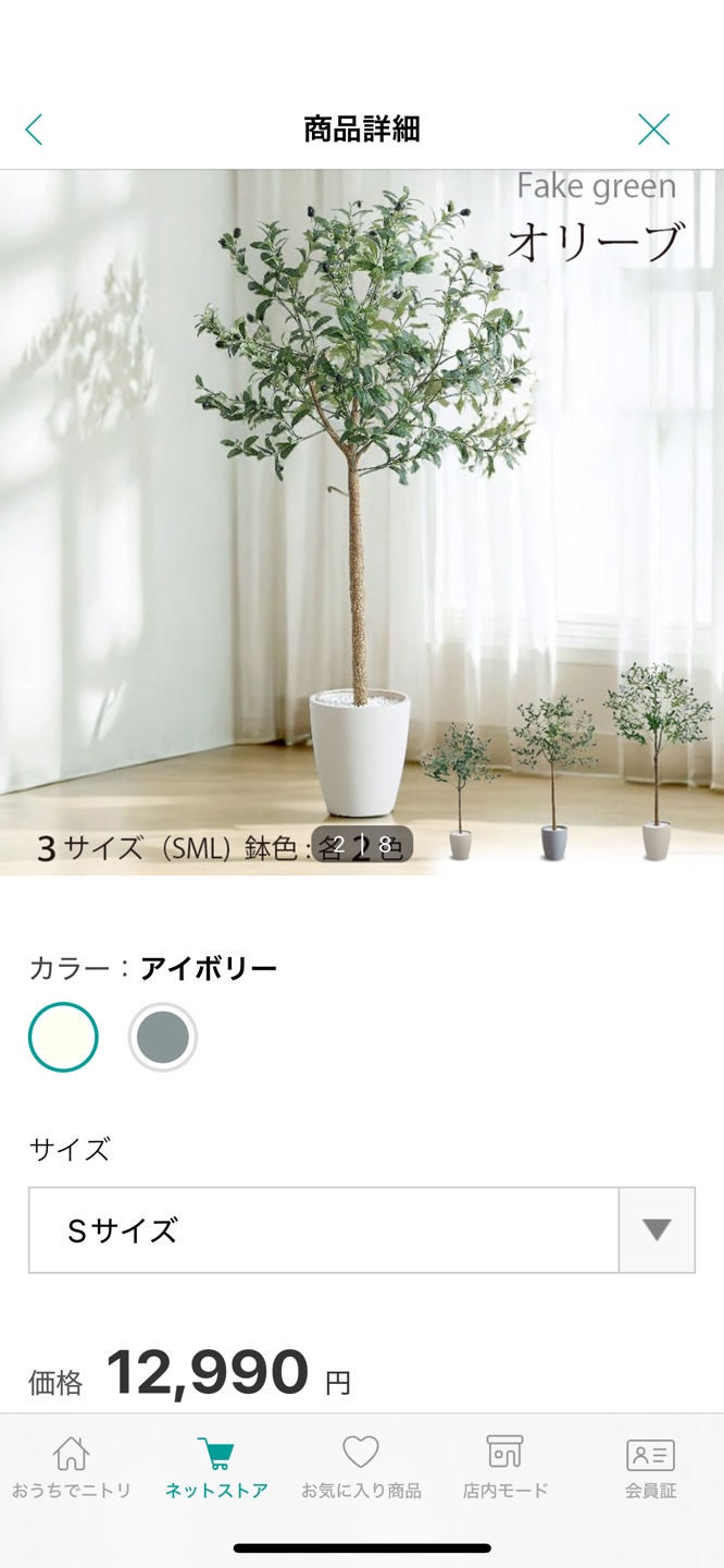 フェイクグリーン　オリーブ　破格😆の写真3枚目