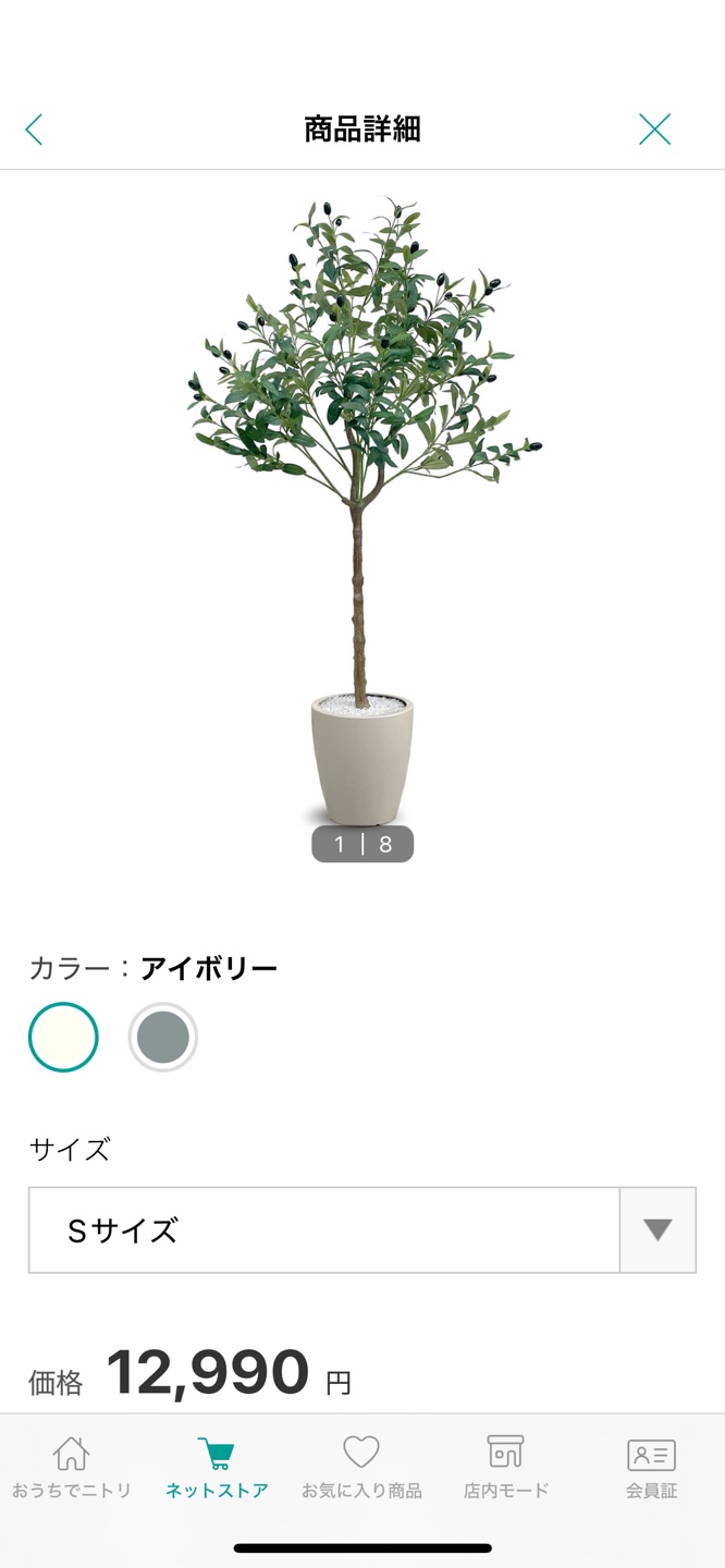 フェイクグリーン　オリーブ　破格😆の写真2枚目