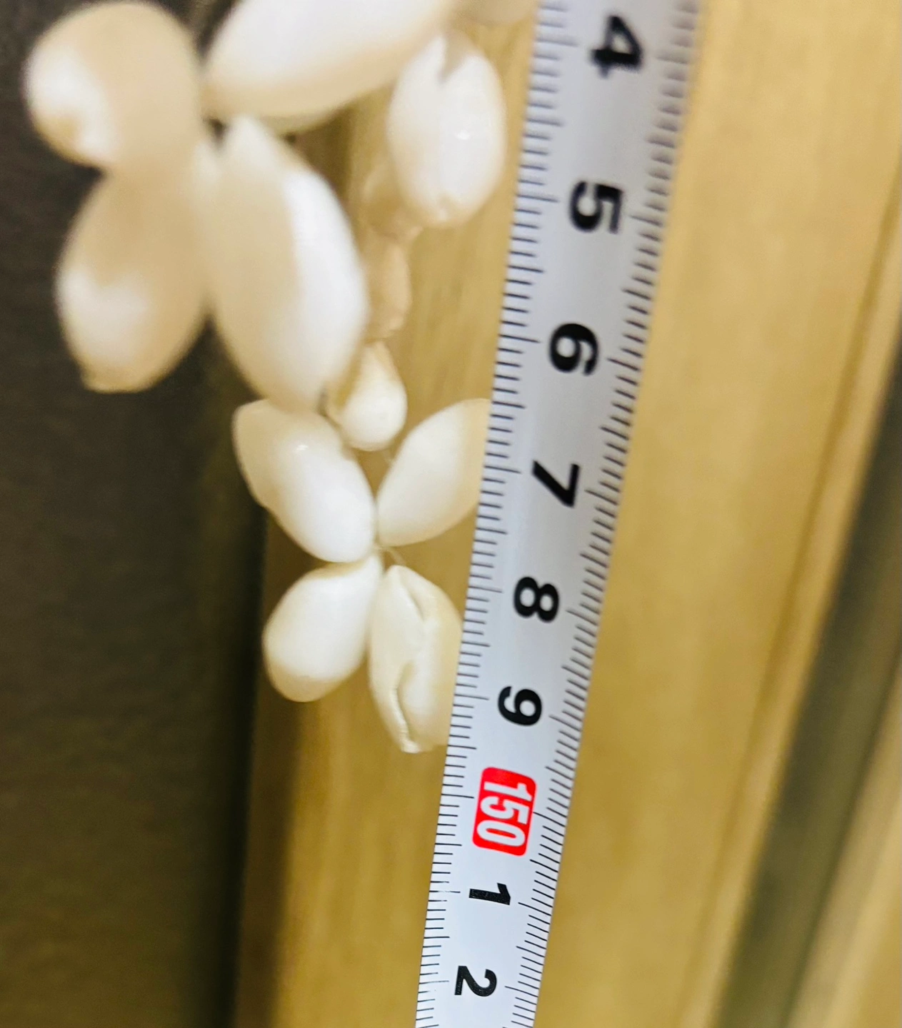 シェル シャンデリア ハワイ購入の写真4枚目