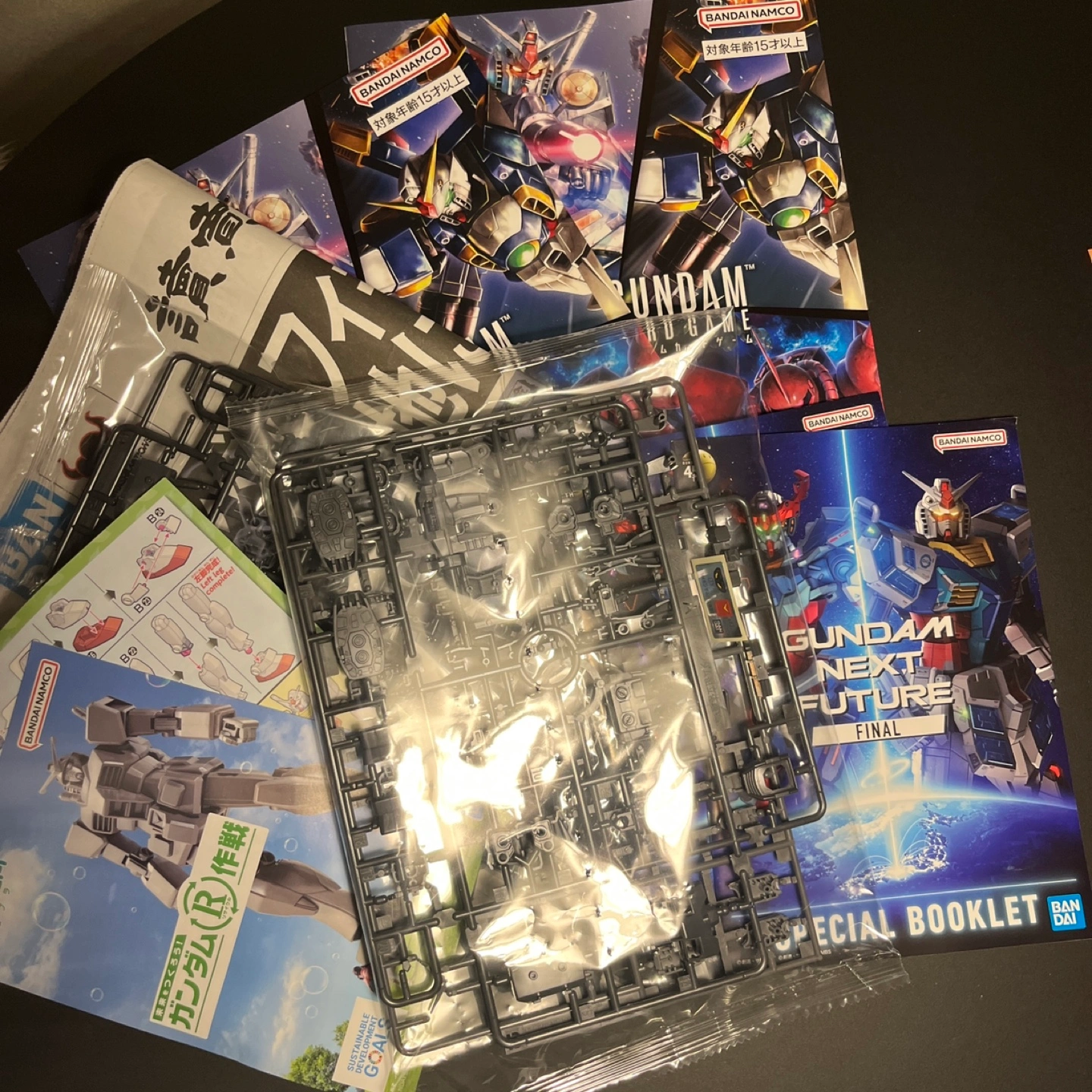 エコプラx 2セット