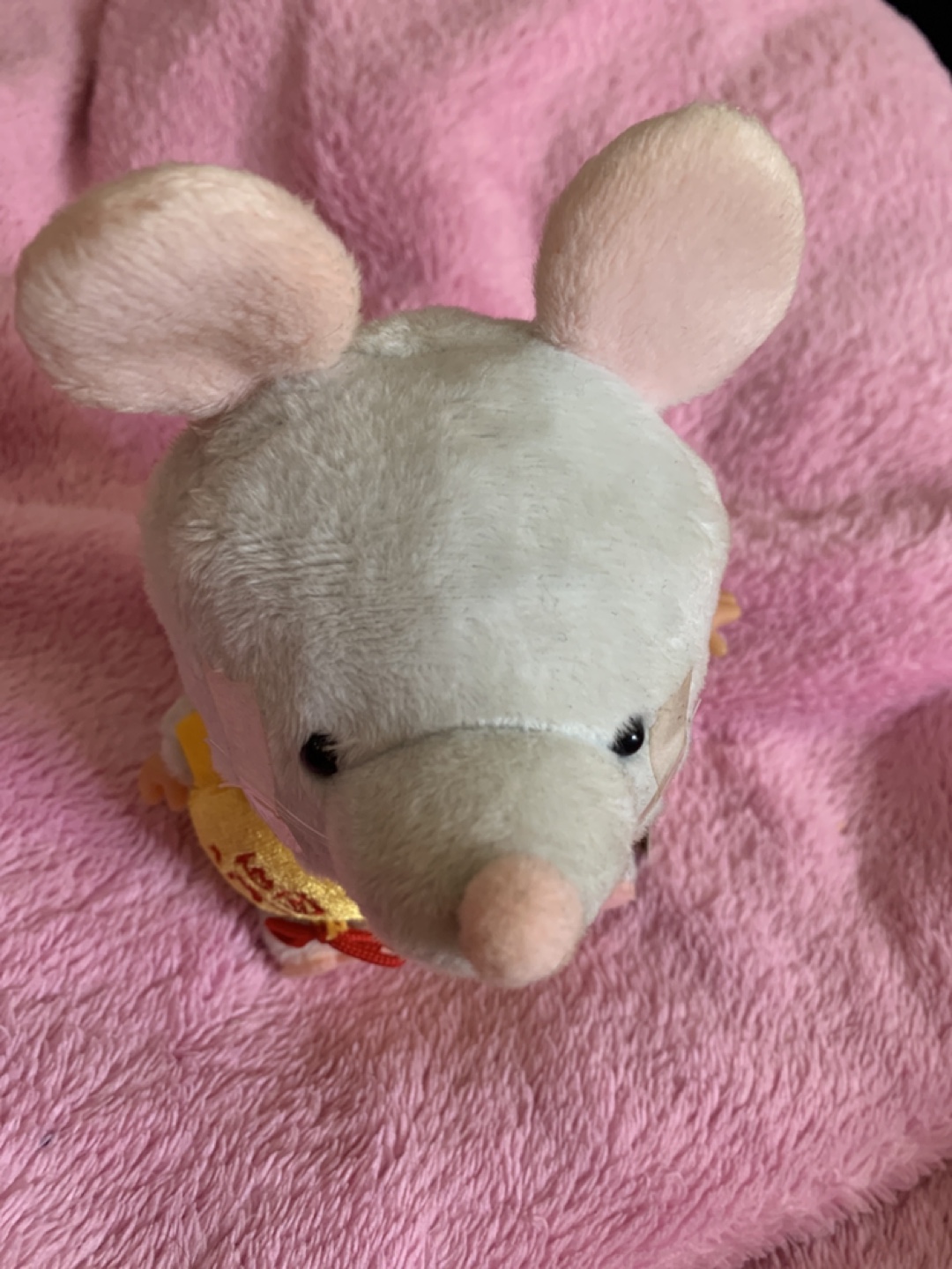 Babichhichi ✨子年ベビチッチの写真2枚目