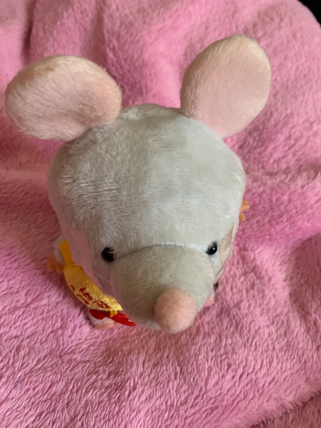 Babichhichi ✨子年ベビチッチの写真2枚目