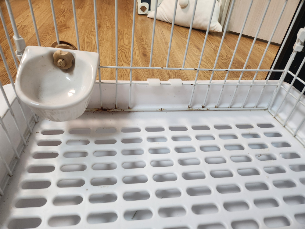うさぎ　モルモットケージ　中古の写真2枚目