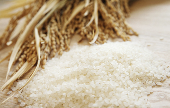【超特価】農薬不使用のお米、宮城県産ひとめぼれの写真3枚目