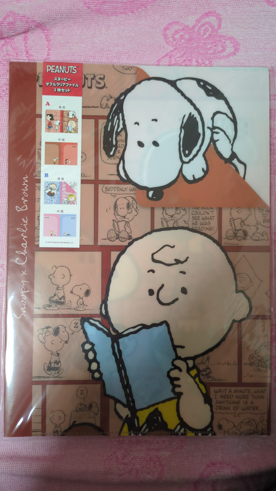 PEANUTS ダブルクリアファイル2枚セット