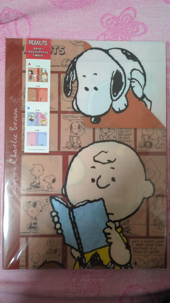 PEANUTS ダブルクリアファイル2枚セット