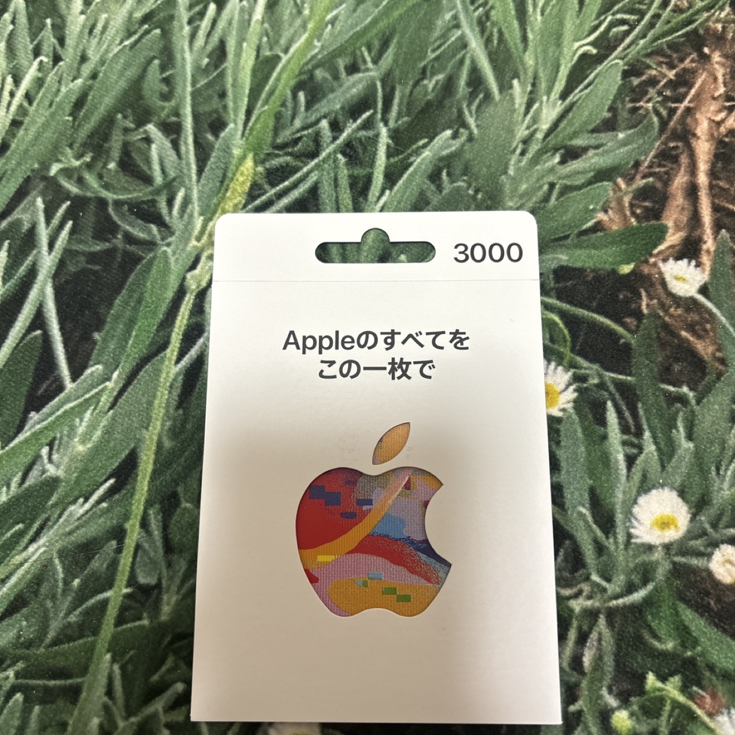 Apple gift card未使用