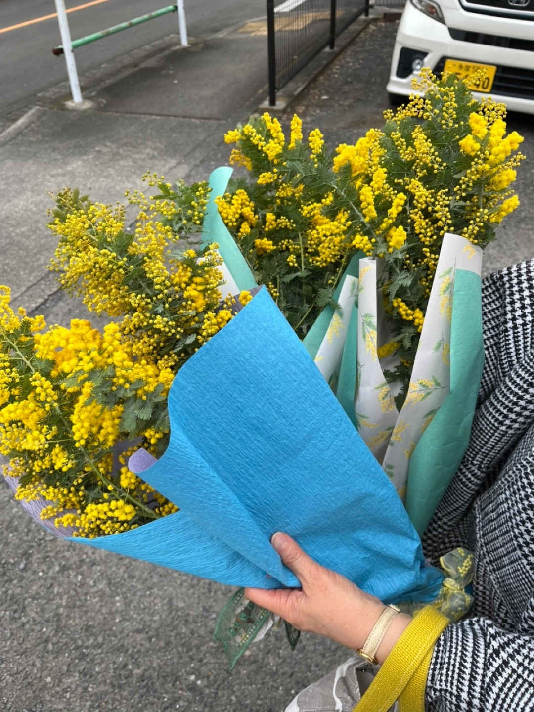 我が家で沢山綺麗に咲きました。このミモザをお届けします🌼🌼🌼