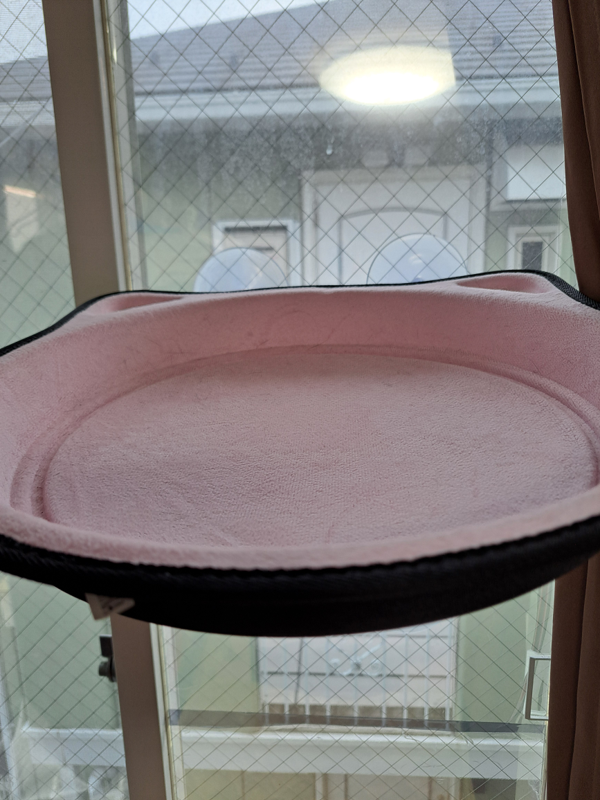 猫　ハウス　中古の写真8枚目