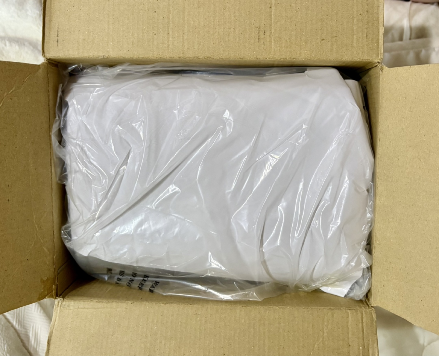 ワンピース　冷温庫　冷蔵庫　レア　限定　新品の写真5枚目