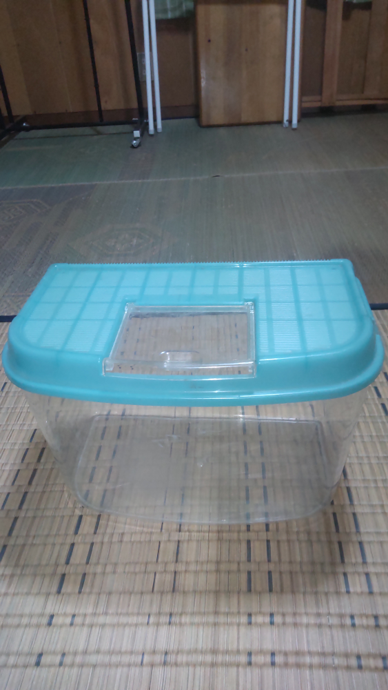 小型プラスチック水槽　中古品