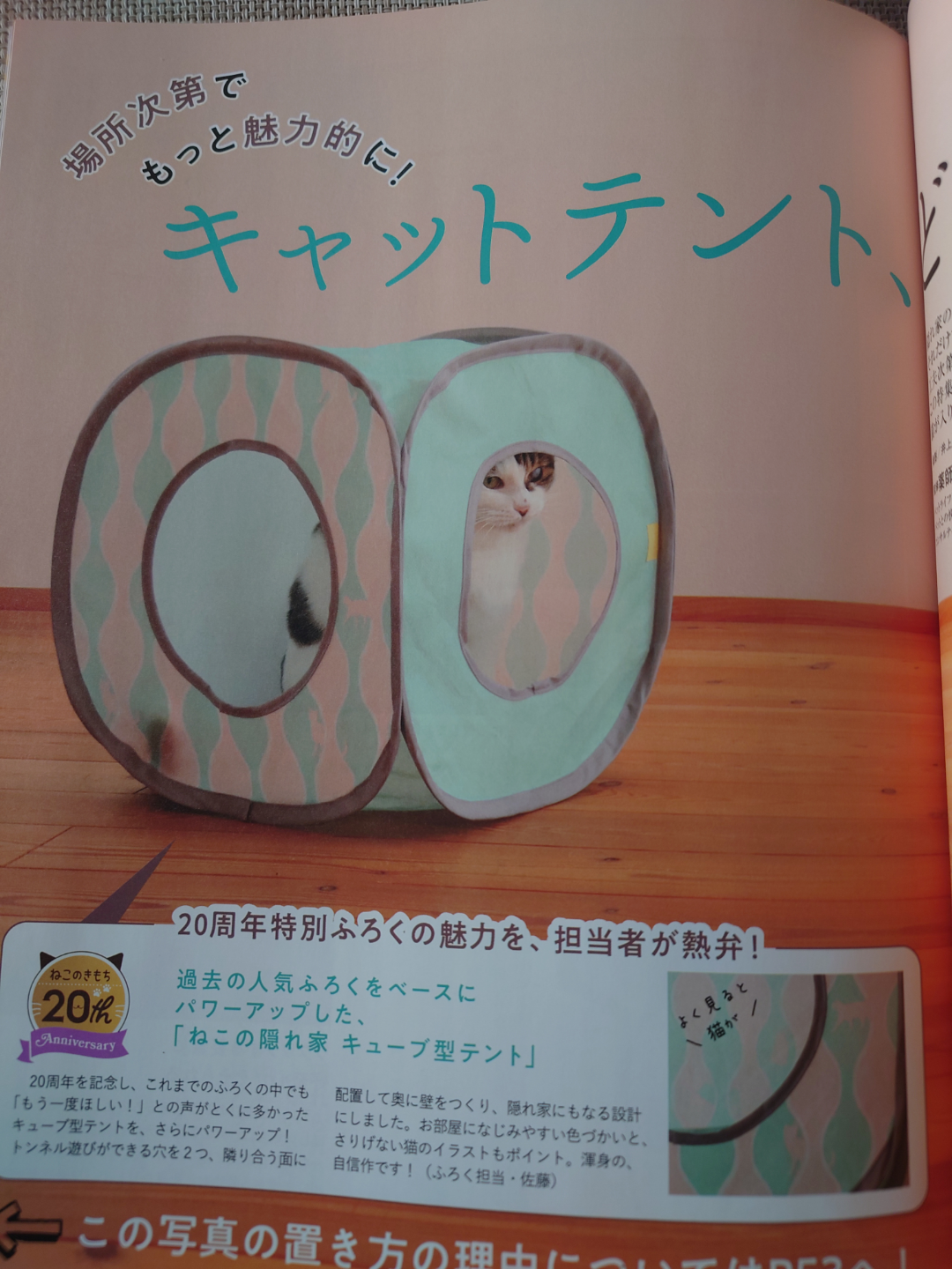 ねこの気持ち 付録 キューブ型テント