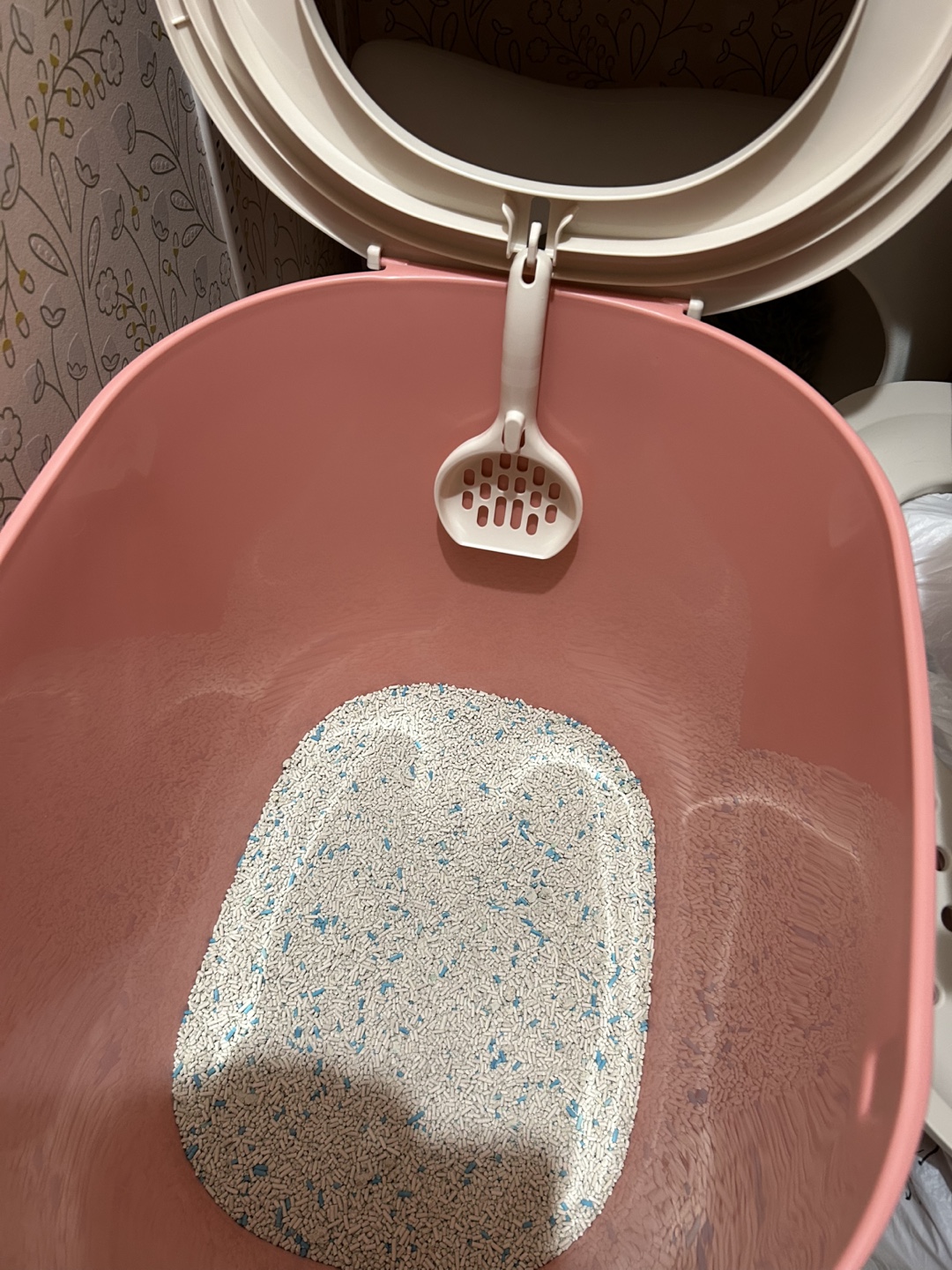 リッチェル 猫用トイレ コーラルピンクの写真4枚目