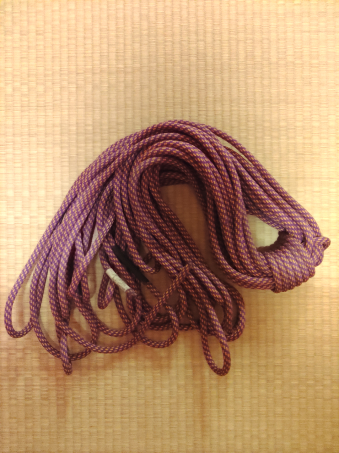 エーデルワイス ロープ(ダイナミック)