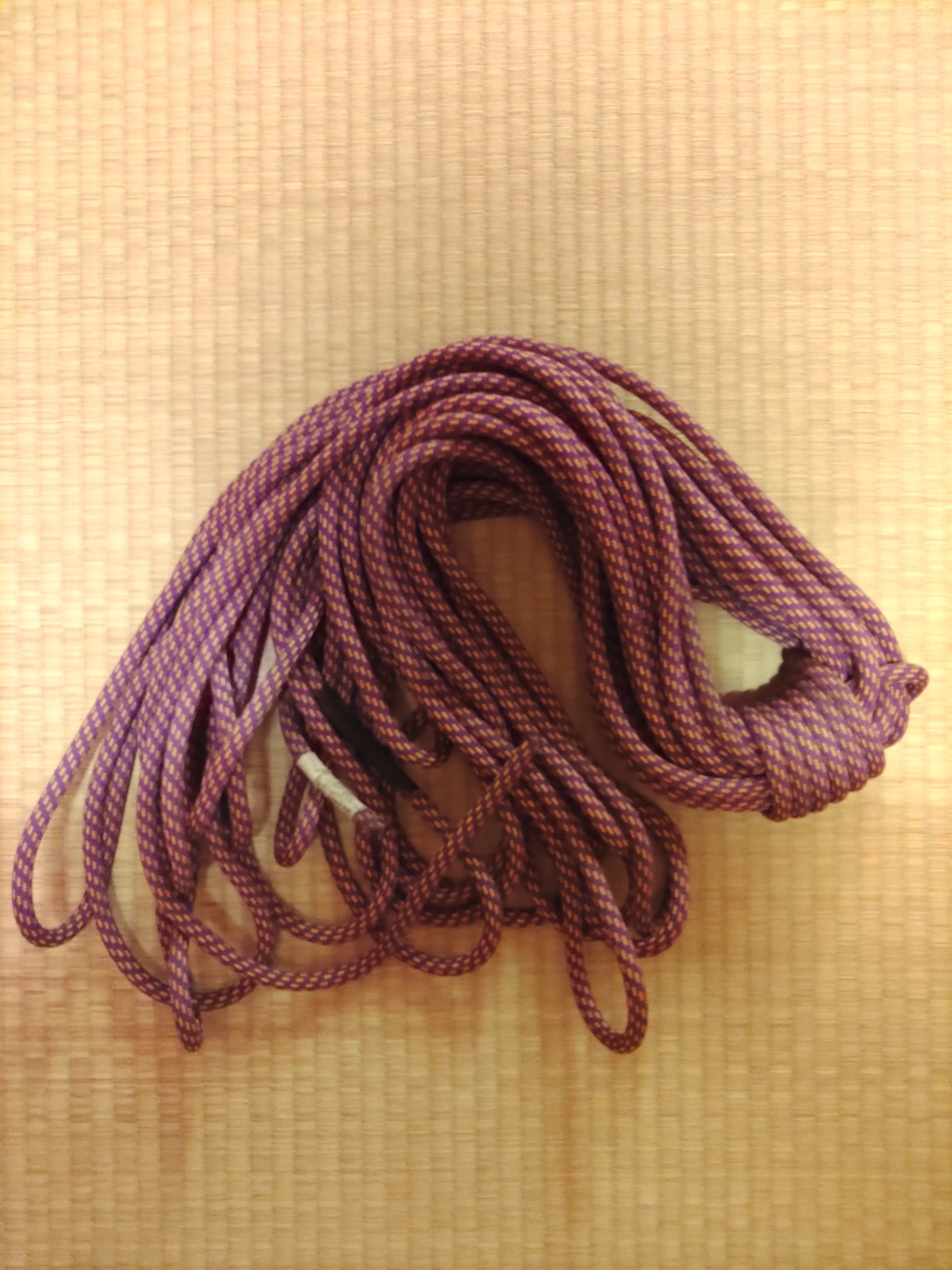 エーデルワイス ロープ(ダイナミック)