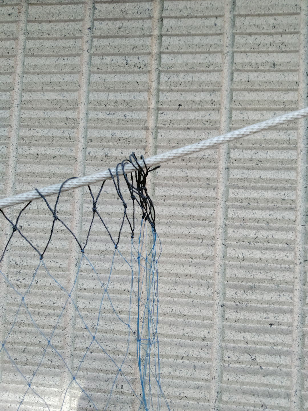 鳥よけネット　柵　網　ネット　防犯　ロープ2本付きの写真3枚目