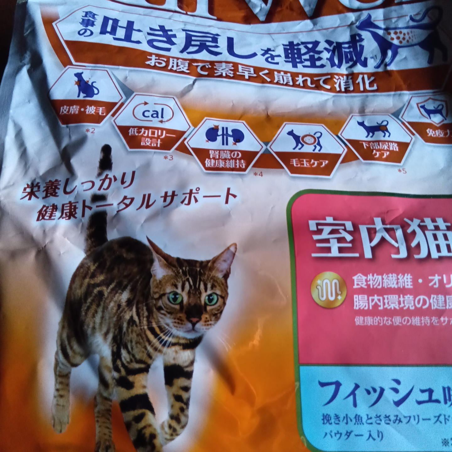 キャットフード