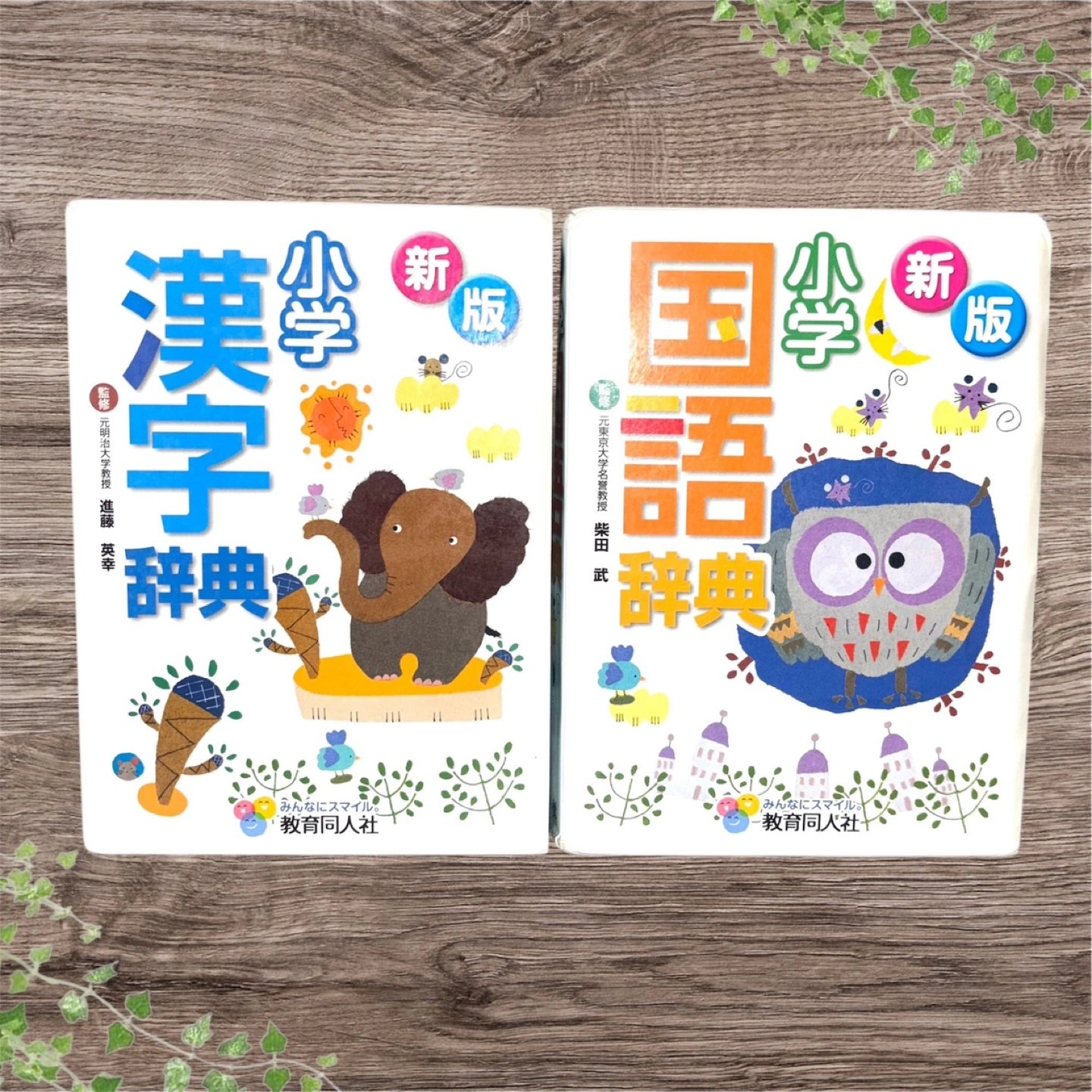 新版 小学生 国語辞典・漢字辞典 2点セット 教育同人社