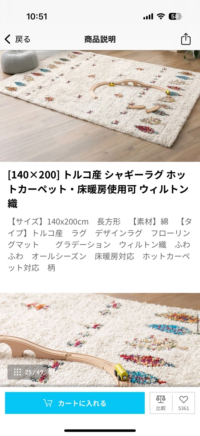 LOWYAカーペットの写真2枚目