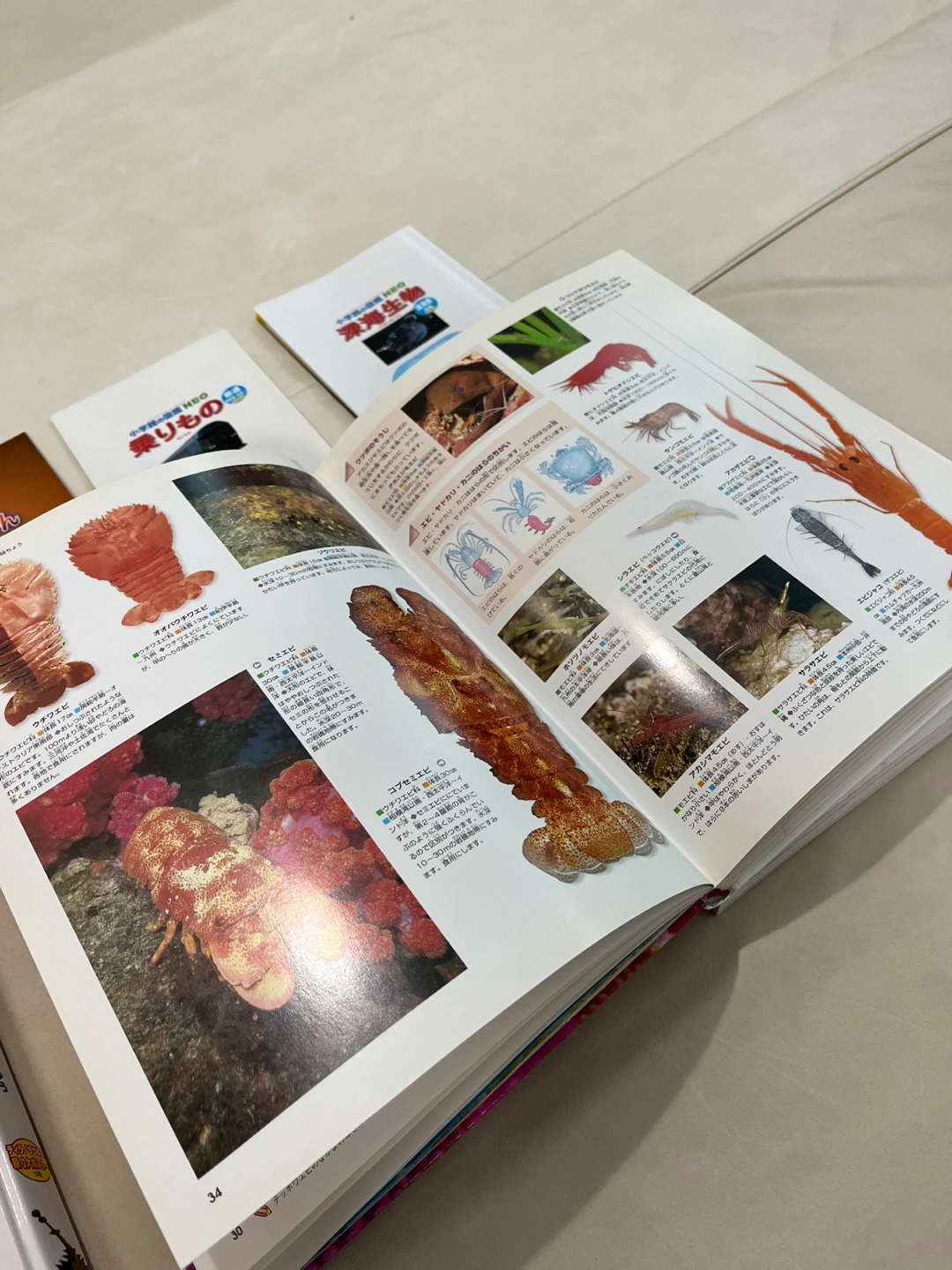 学研の図鑑 NEO 6冊セットの写真6枚目