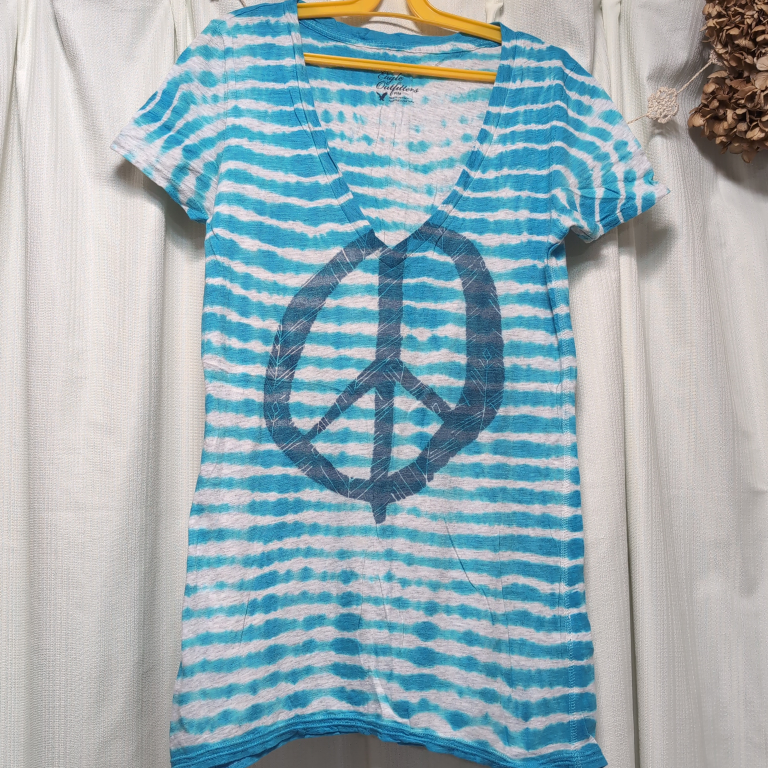 Tシャツ 青色 ストライプ柄