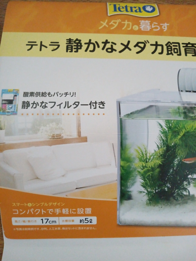 テトラ 静かなメダカ飼育セット 水槽の写真4枚目