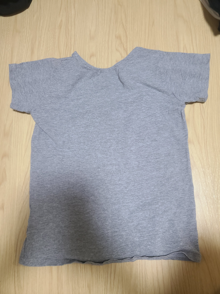 Tシャツ グレー Lサイズの写真2枚目