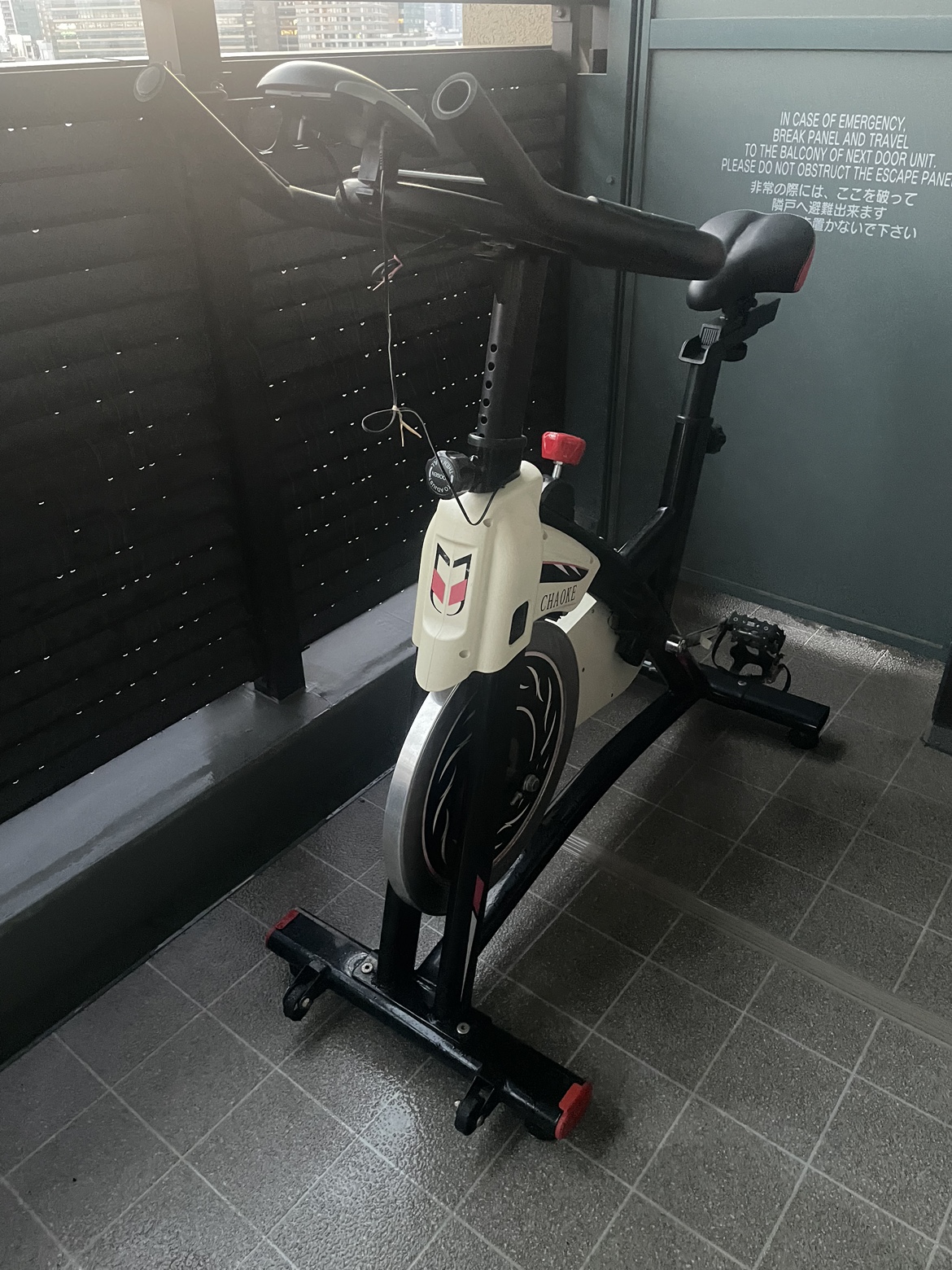 【配達相談可】 フィットネスバイクChaokeの写真2枚目