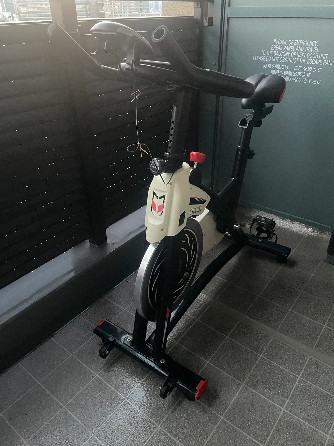 【配達相談可】 フィットネスバイクChaokeの写真2枚目