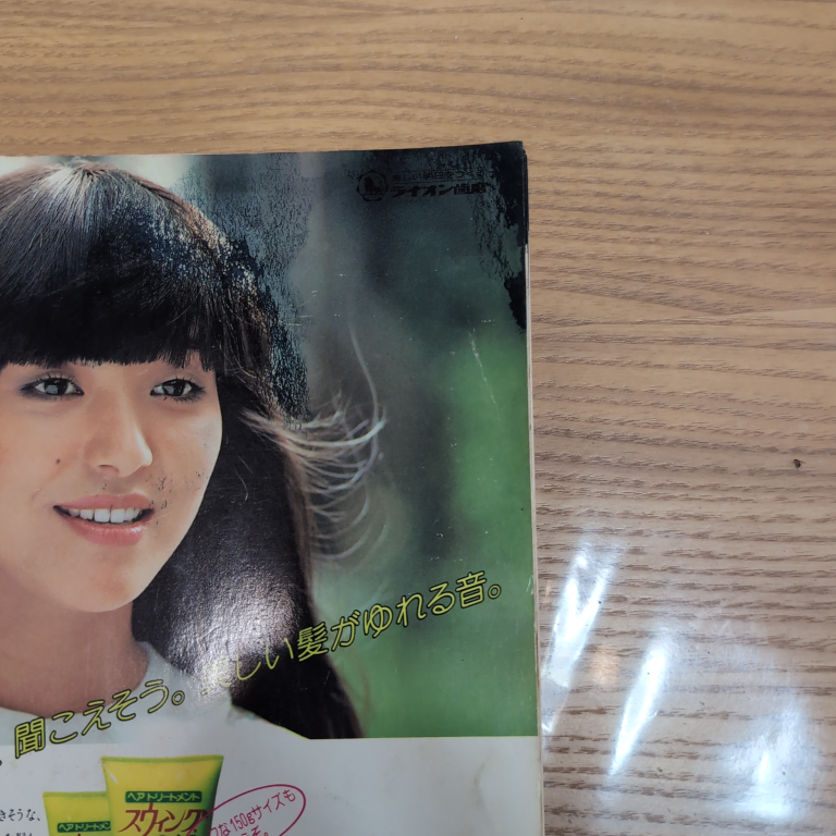 明星デラックス ヘアカタログ Teen Beauty '80の写真2枚目