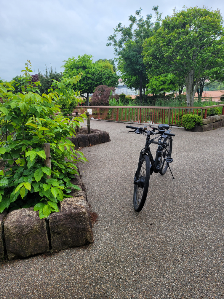 自転車 ブラック