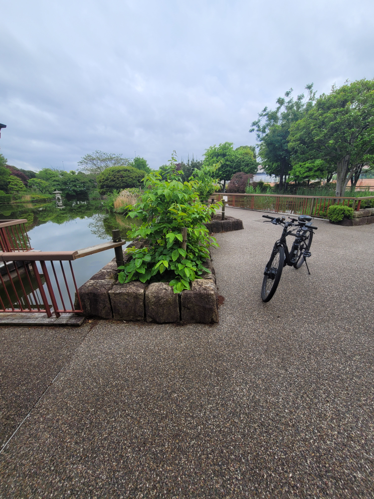 自転車 ブラックの写真2枚目