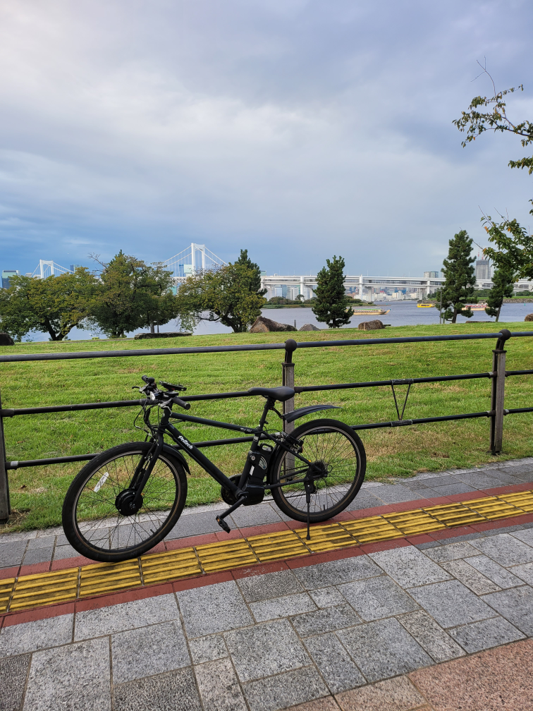 自転車 ブラックの写真9枚目