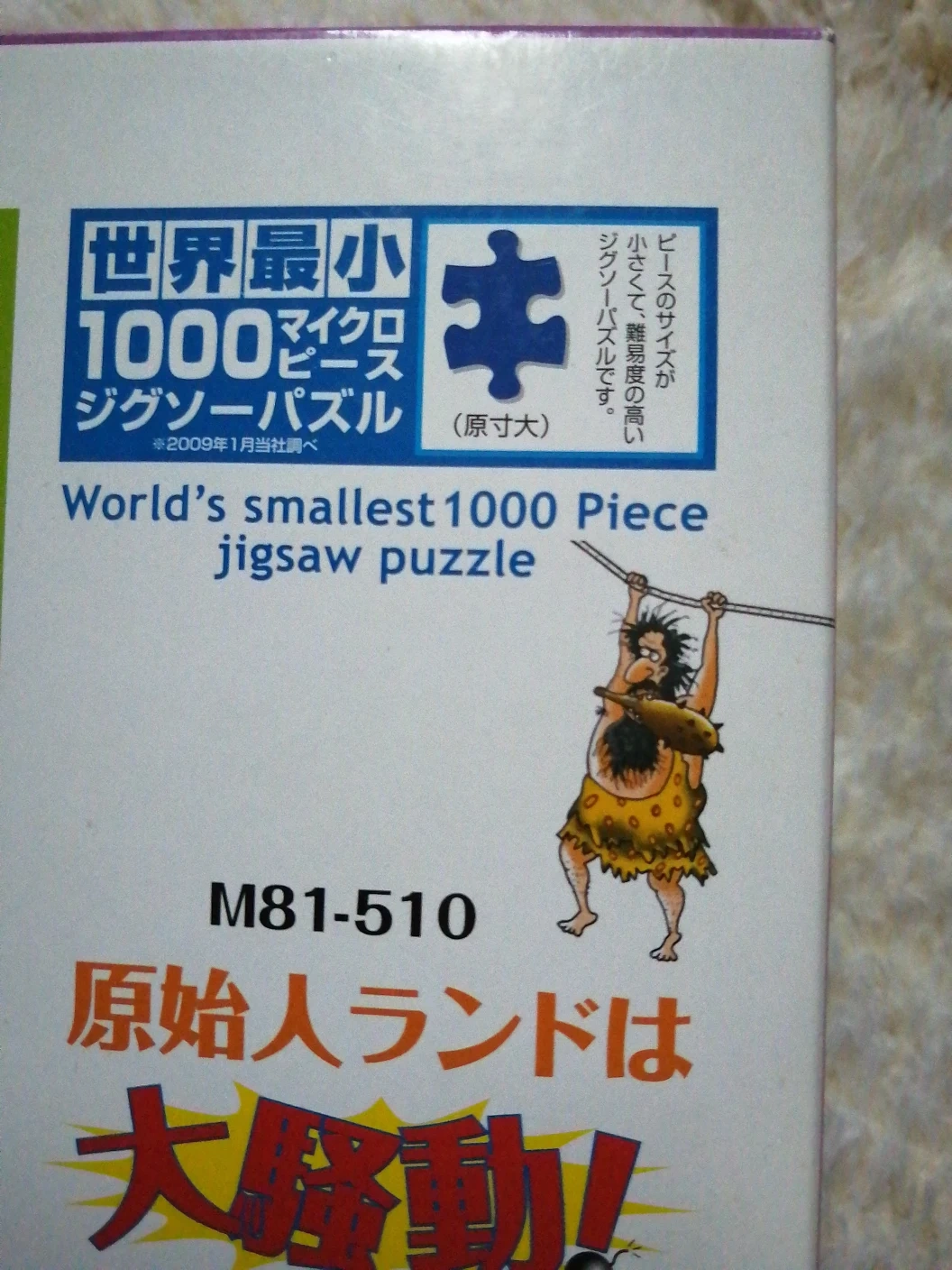 1000ピース ジグソーパズル マイクロピース 38×26cmの写真3枚目