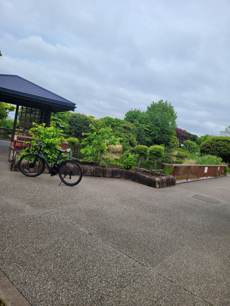 自転車 ブラックの写真3枚目